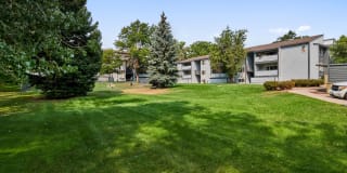 Novi at Lowry Gallery 31