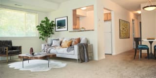 Cranberry Run Gallery 1