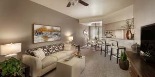 San Palmilla by Mark-Taylor San Palmilla by Mark-Taylor Gallery 1