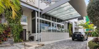 Bijou Bay Harbor Gallery 50