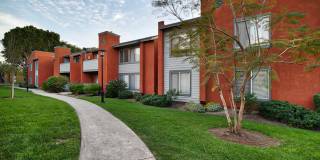 River Ranch Gallery 35