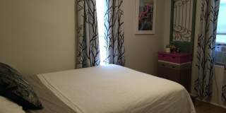 Charming Renovated Twin in the Heart of Manayunk | $2,250/Month Gallery 6