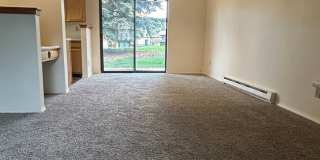 Village Seven Newly Updated All Electric $1500/Month 1 Bed/ 1 Bath Townhome Gallery 5