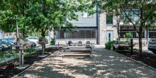 Pinnex Gallery 79