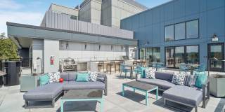 Vicino Bellevue Gallery 16