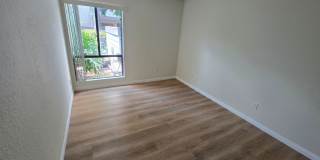 Beautifully Renovated Ground-Floor 2 Bedroom – Over 900 Sq. Ft.! Gallery 16