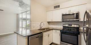 Rise Biltmore Gallery 23