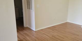 The Preserve at Temple Terrace - Gallery 8
