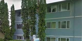 Bluewood Bluewood Gallery 1