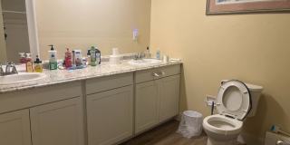 347 South Pearl Street Gallery 6