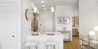 Park South Gallery 50