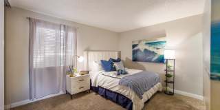 2900 Lux Apartment Homes Gallery 6