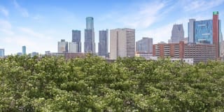 Pavilion Apartments Pavilion Apartments Gallery 63