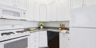 Large 4 bed 2 bath south philly home Gallery 6