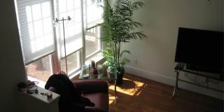 118 Finsbury in popular Davis Park Gallery 7