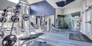 Pines at Castle Rock Gallery 9