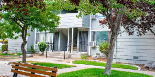 The Meadows Gallery 8