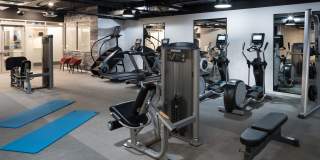 Alexan Webster Gallery 14