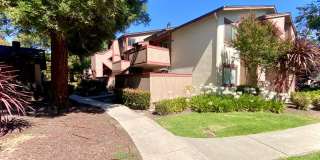 Beautifully Updated 2-Bedroom Condo! - Warm Springs! Beautifully Updated 2-Bedroom Condo! - Warm Springs! Gallery 1
