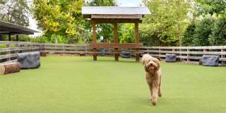 Camden West Nashville Gallery 40