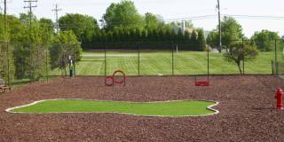 Madison at Adams Farm Gallery 29