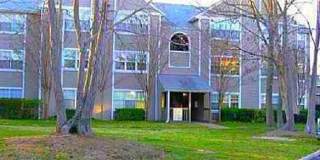 Hampton Club Gallery 1