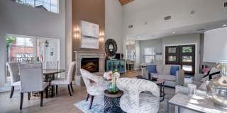 Foundations at Edgewater Gallery 15