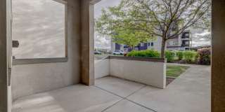 Park Lane Village Gallery 11