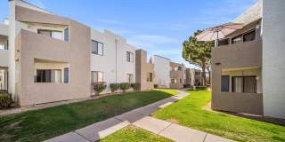 Desert Springs Gallery 19