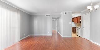 Pelicans Landing Gallery 10