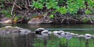 Eaton Village Gallery 24