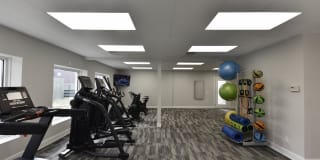 The Harrison/Marc Gallery 22