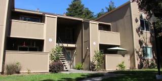 Available now! Studio apartment! Gallery 6