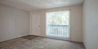 Treehouse Apartments Gallery 62