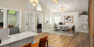 Canopy Gallery 21