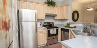 Paces Park Gallery 19