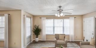 Atlas at St. George Gallery 64