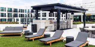 Aster & Links Gallery 20