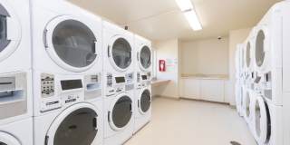 Conifer Grove Gallery 14