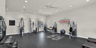 Esteban Park Gallery 20