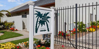 Palms Gallery 1