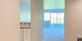 Spacious Seattle Condo - $2,200 Gallery 18
