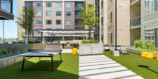 Park Avenue Apartments Gallery 9