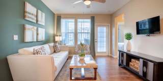 Century Dunes Gallery 20