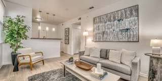 Vue Live Oak Gallery 2