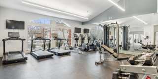 Christina Mill Gallery 16