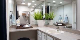 Willow Lake Gallery 10