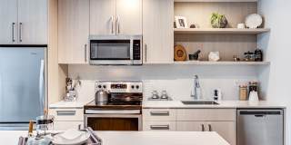 Velo Forest Hills Gallery 7