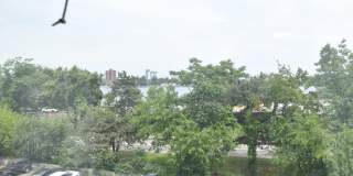 15 Bay State Rd Gallery 6