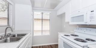 Mountain Springs Gallery 17